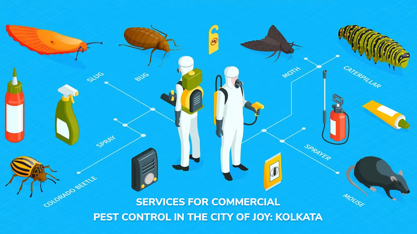 Services For Commercial Pest Control In the City of Joy: Kolkata